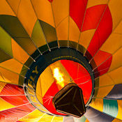 Shop Balloons