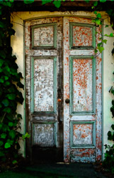 ivy-door.jpg